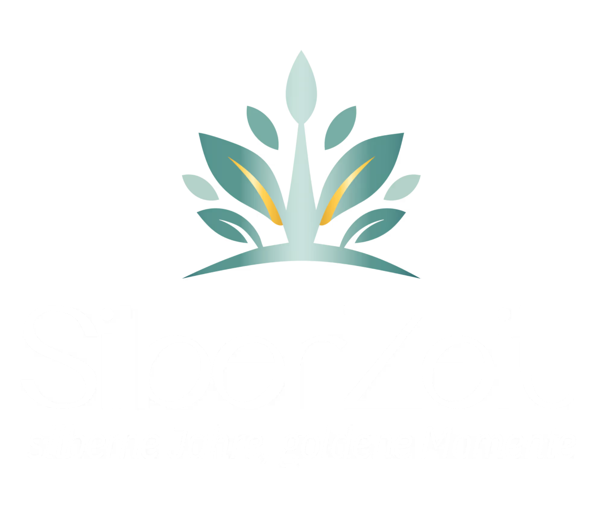 footer-logo